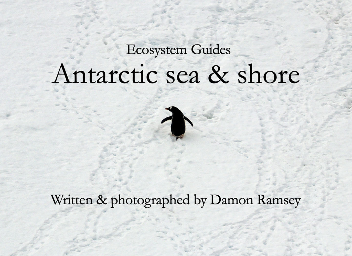 book-cover-antarctica-