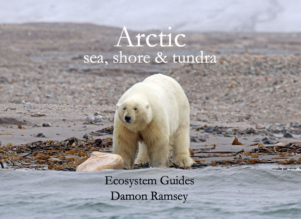 arctic sea shore & tundra book cover