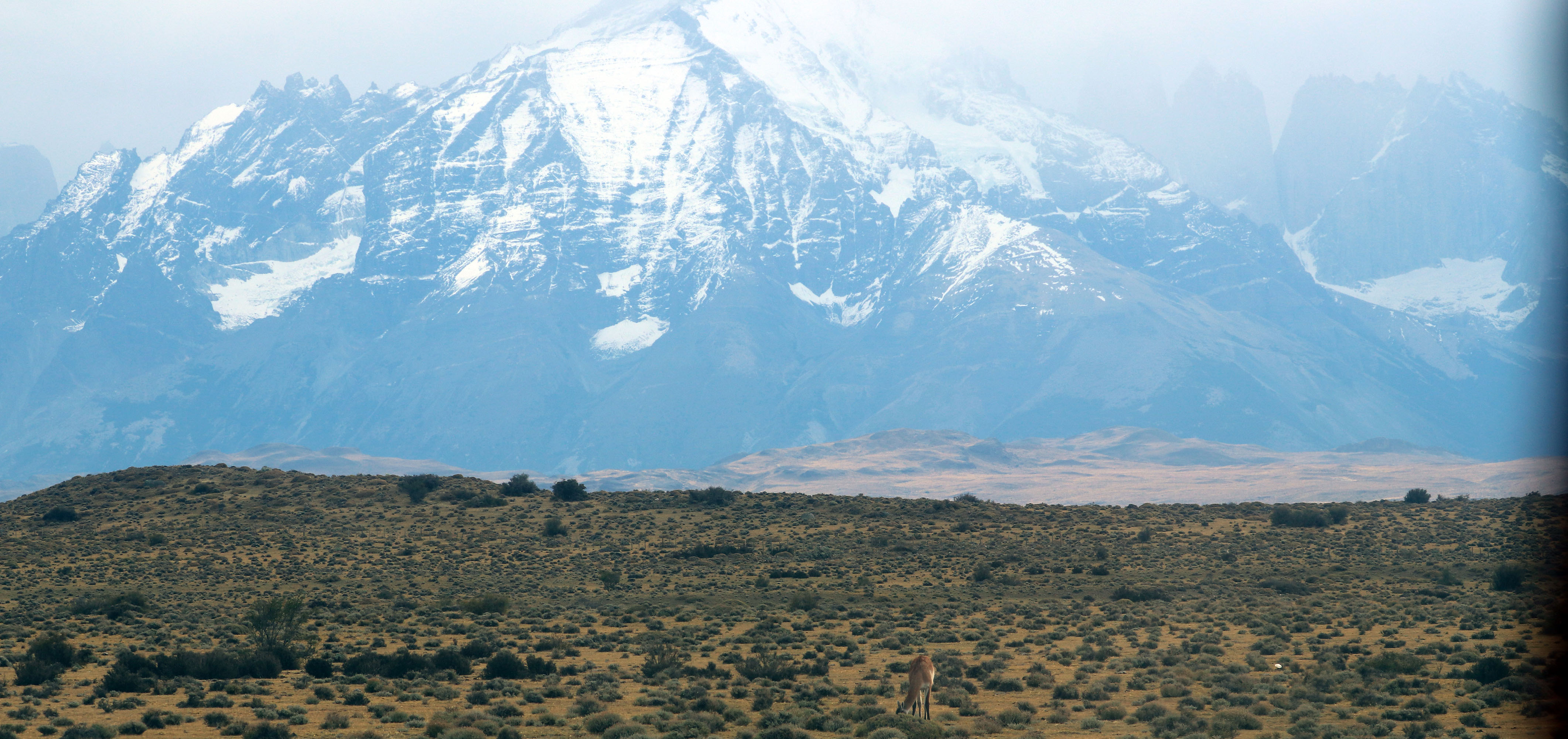 landscape-patagonia-steppe-chile