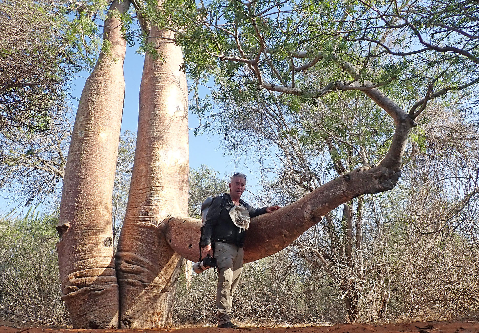 me-and-baobab-