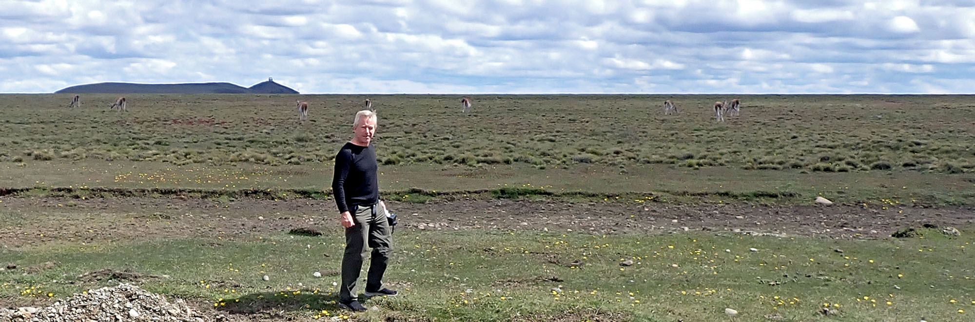 me-patagonian-steppe-