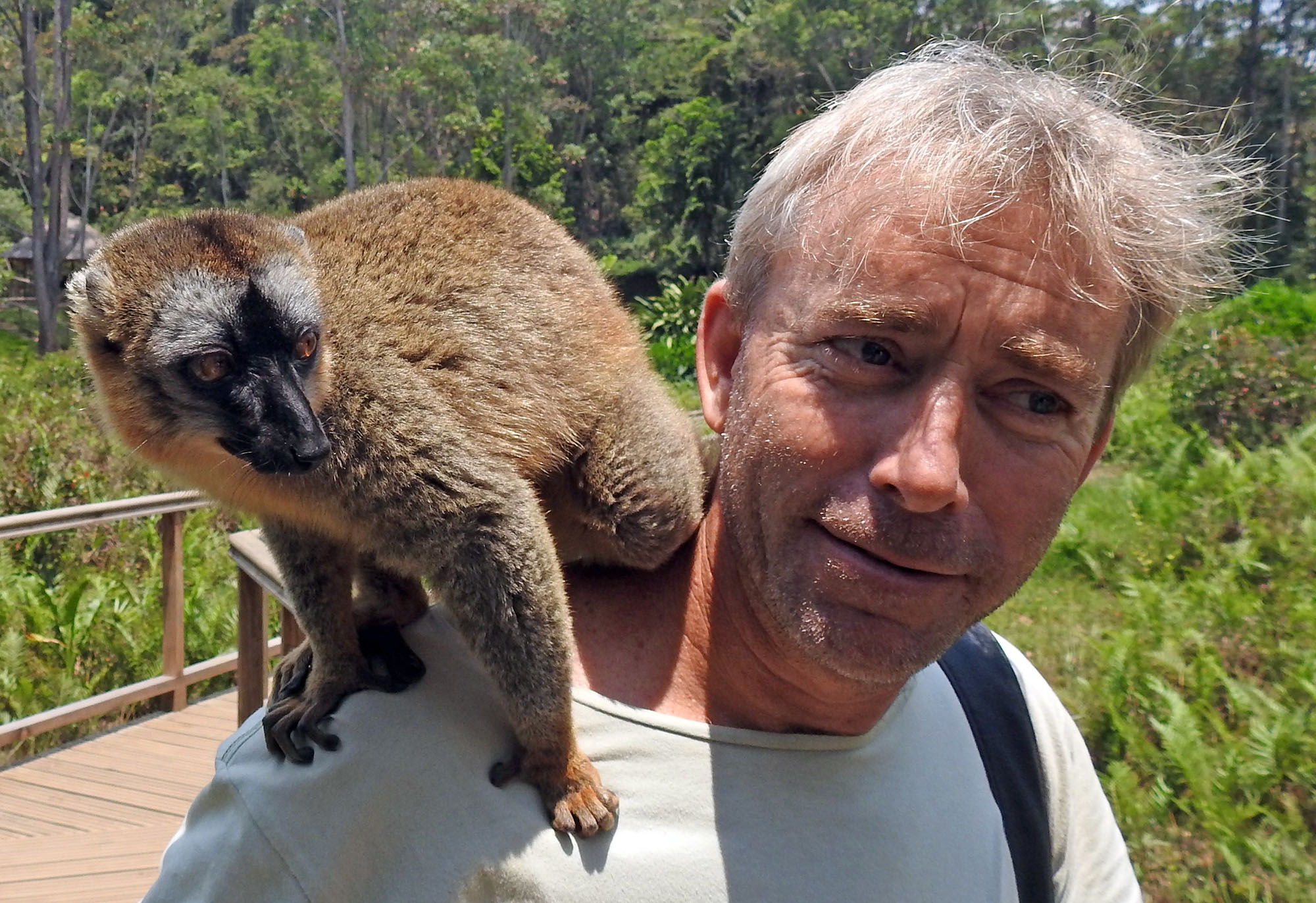 me-with-lemur