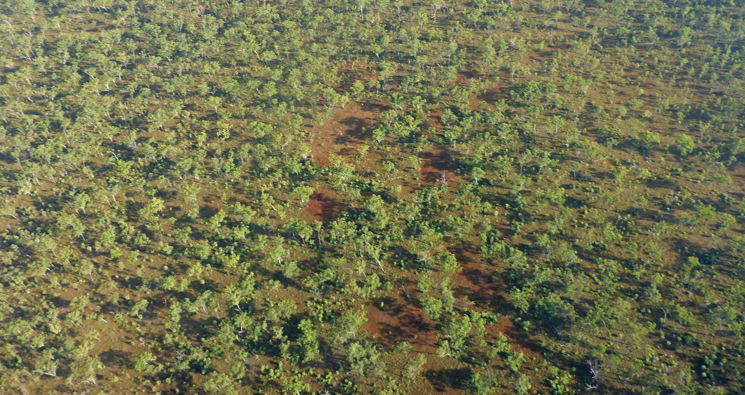 australian-savanna-woodlands-aerial-mitchell